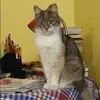 Отзыв от Эльвира Суханова